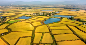 安徽滁州糧食儲備庫攜手凈松環境，共筑現代化綠色儲糧新標桿 #糧倉空調