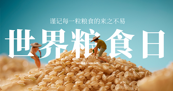 世界糧食日，凈松糧倉空調(diào)落戶山西長治，以科技硬實(shí)力筑牢糧食儲備安全屏障